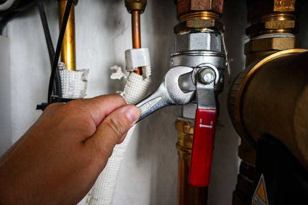 Best Commercial Plumbing Services  in Mount Clemens, MI